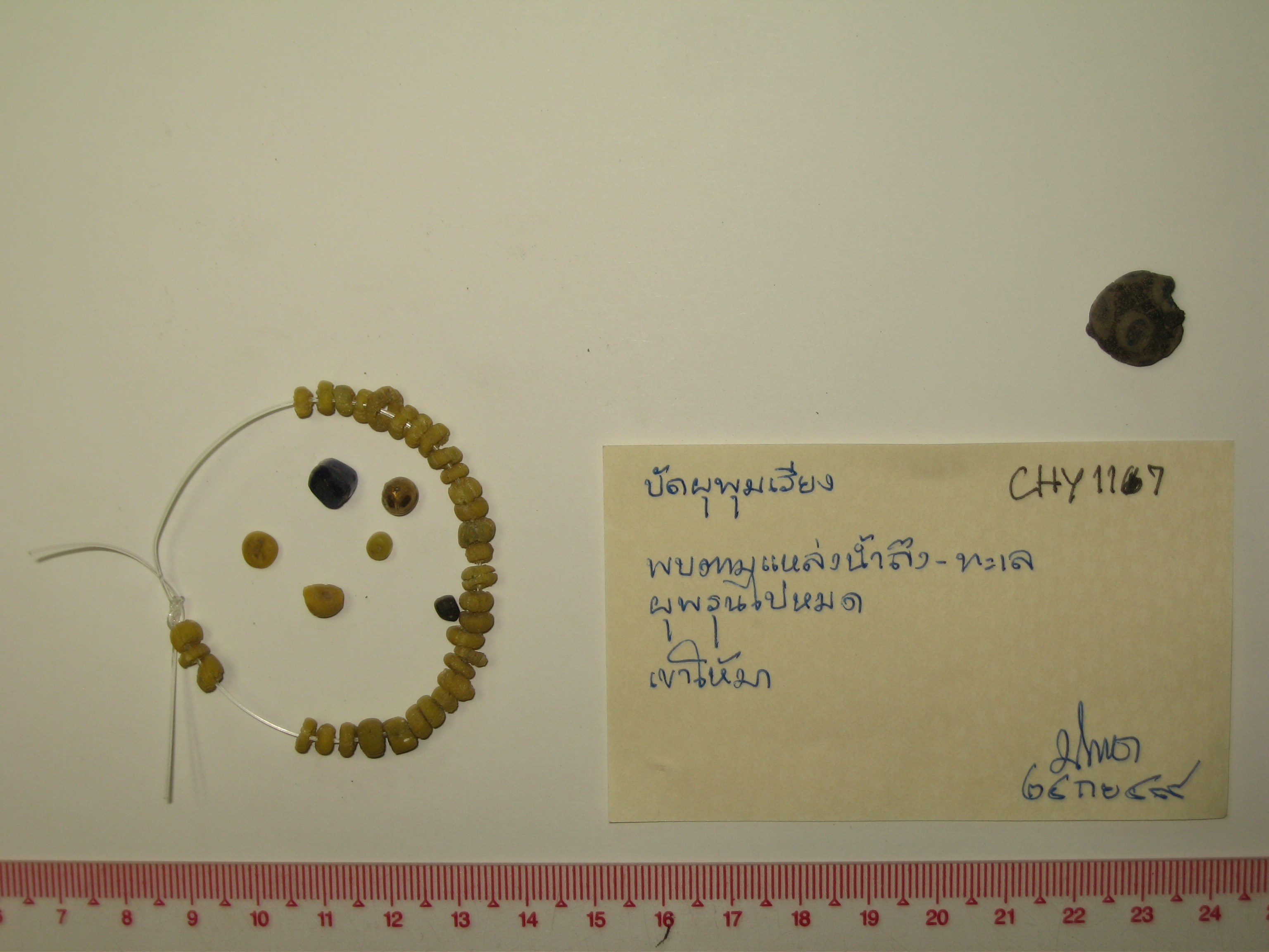 strand Bead